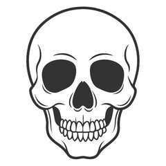 Obraz premium vintage human skull vector art