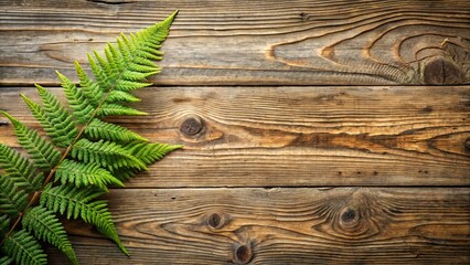 Lush green fern frond gracefully placed on rustic weathered wood planks, creating a natural and serene backdrop for design projects
