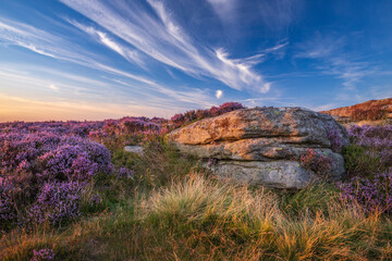Sunset illuminates moorland stone and heather blossoms beneath a striking sky streaked with clouds...
