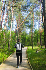 Hiker with a Backpack Walking Alone Through Forest Trail on a Sunny Day