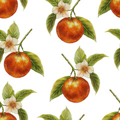 Seamless watercolor pattern with whole and sliced oranges on a white background. Bright and juicy citrus design, perfect for packaging, fabric prints, kitchen decor, and summer-themed projects.