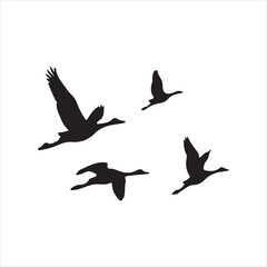 silhouette of 4 birds