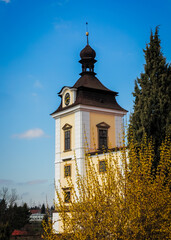 Clock tower rising above blooming forsythia in Czech Republic