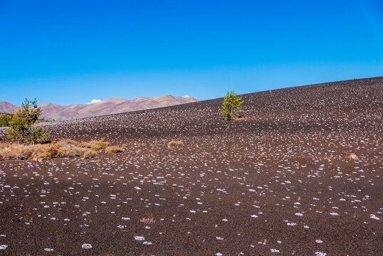 Craters of the Moon National Monument and Preserve showing cinder cones and lichens covering lava fields in Idaho, USA