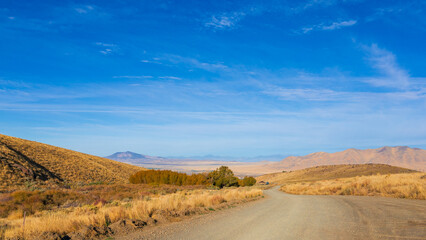Winding dirt road through Nevada desert landscape under blue sky