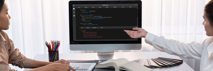 Software development programming on computer screen for brisk application and program coding