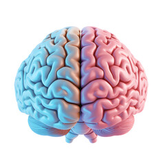 Top view of a human brain divided into two colorful hemispheres isolated on transparent background
