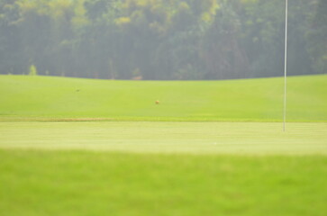Cropped foto of golf flag pole and on tee with blur green background.