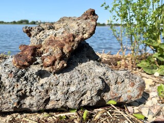 Close-up of a textured rock with rust-colored mineral deposits by the lakeshore. Natural or industrial formation in a sunny outdoor environment with green plants and blue water.