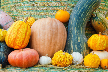 Selection of various pumpkins and gourds on a hay bale