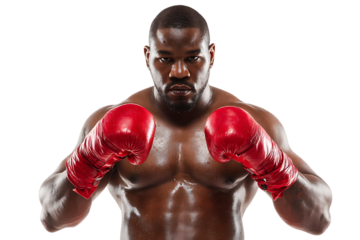 Powerful boxer ready to fight