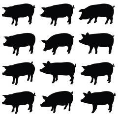 Charming silhouette illustration features a pattern of twelve black pig icons on a crisp white backdrop, perfect for various creative designs.