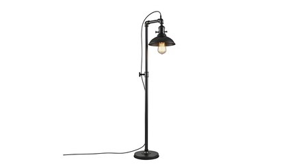 Industrial style floor lamp