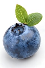 Obraz premium vaccinium isolated on white