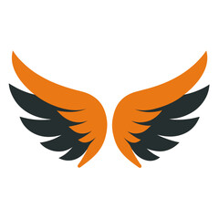 Obraz premium wings of the eagle