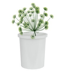 green plant in a pot