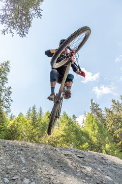 Downhill mountain biking in the Alps forest landscape