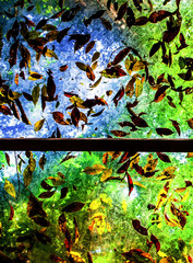 Ceiling glass roof texture of transparent glass and dry leaf
