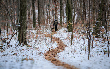A hiker and their dog walk along a winding leaf-covered trail through a quiet, snow-dusted forest....