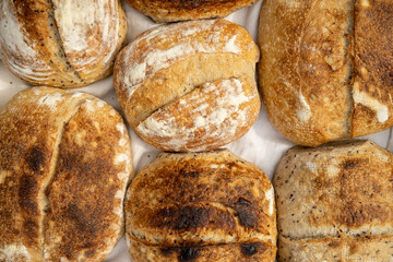 Artisan sourdough homemade craft bread on white textile background. Natural light with soft shadows, close-up top view.