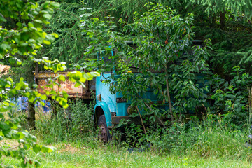 An old, overgrown truck surrounded by dense vegetation and wild trees in an abandoned forested...