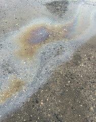 oil