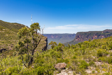 Walls Lookout, a panoramic view of the Blue Mountains National Park in New South Wales, Australia,...