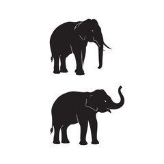 Fototapeta premium Two black elephant silhouettes standing isolated on white background