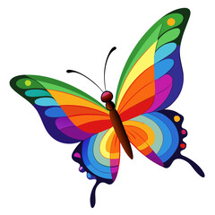 butterfly vector illustration