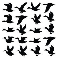 Black silhouettes showcase a graceful flock of ducks in flight, ideal for wildlife themes or avian-inspired designs.