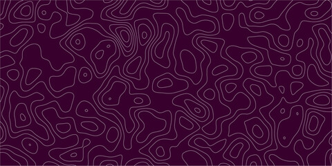 Geographic texture rendered through smooth curves

