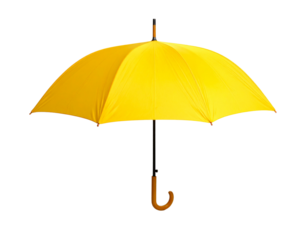 Young woman taking pictures with her smartphone PNG file no background - Firefly_Yellow umbrella