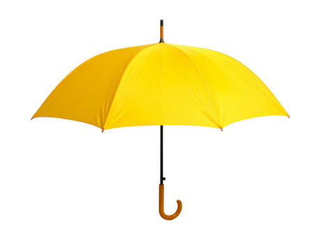 Young woman taking pictures with her smartphone PNG file no background - Firefly_Yellow umbrella