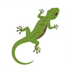 Fototapeta premium Green Gecko Illustration on White Background