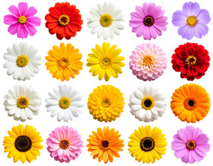 house with a roof HD transparent background PNG Stock Photographic Image .jpg - Firefly_Transparent PNG available_Single flowers collection, set isolated on transparent whit 