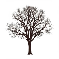 Bare Winter Tree Silhouette Illustration