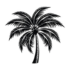 Obraz premium Majestic Palm Tree Silhouette Black and White Tropical Image