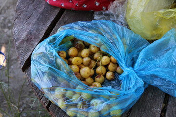 Yellow plums in a blue plastic bag on a wooden table.