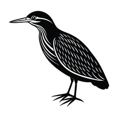 Green Heron Bird Vector Illustration Black Silhouette