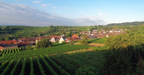 Oberschafhausen am Morgen