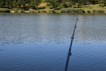 Fishing rod and floater on a calm lake with trees.