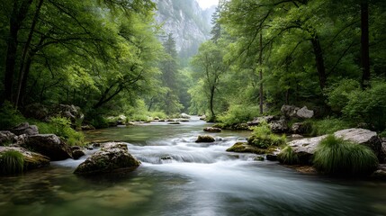 Obraz premium Cascading water tumbles over moss-covered rocks in a lush, green forest, forming a serene natural stream