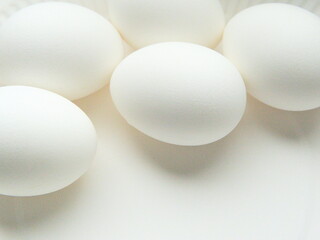 White chicken eggs on a white background with space for text