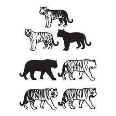 Obraz premium Tiger vector illustration