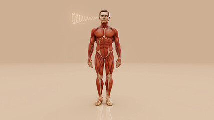 Conceptual 3D illustration of a man's anatomy and hearing sense