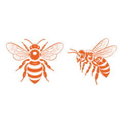 Fototapeta premium Two Orange Bee Illustrations on White Background bees