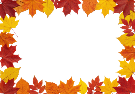 Ultra realistic distinct maple and various deciduous autumn leaves in vibrant red, orange, yellow, brown, natural textures, intricate veining, forming a decorative bottom and right border on a plain