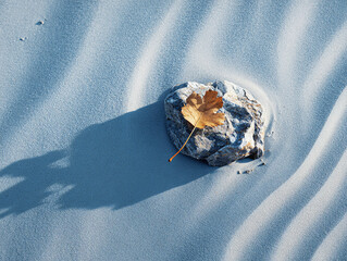 A solitary stone with a leaf in gentle sand waves.