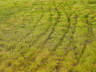 Traces of the small tractor on green lawn backdrop