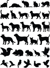 Fototapeta premium Black Silhouettes of Cats, Dogs, Squirrels, Mice, and Birds Posed on a White Background